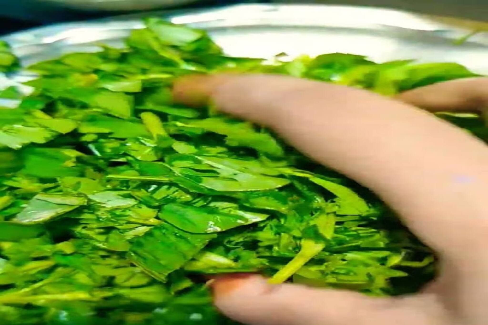 ছুঁলেই সর্বনাশ...! এই 'শাক' ভুলেও বেশি খাবেন না কারা? বলে দিলেন বিশেষজ্ঞ