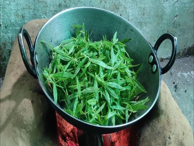 নারী শাক বা কলমি শাক রক্তাল্পতা দূর করবে:নারী শাকে প্রচুর পরিমাণে আয়রন পাওয়া যায়। আয়রনের কারণে এটি রক্তের সমস্যা দূর করে। নারীর শাক মহিলাদের জন্য খুবই উপকারী। যার ফলে তাদের মধ্যে রক্তের ঘাটতি দূর হয়।