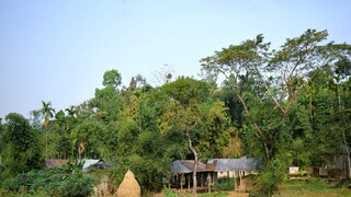 প্রতীকী ছবি। 