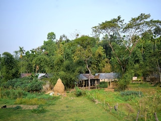 প্রতীকী ছবি। 
