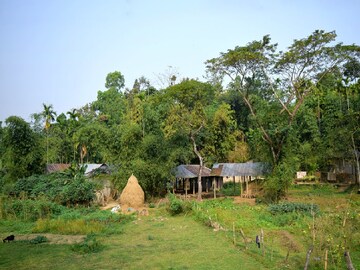 প্রতীকী ছবি। 