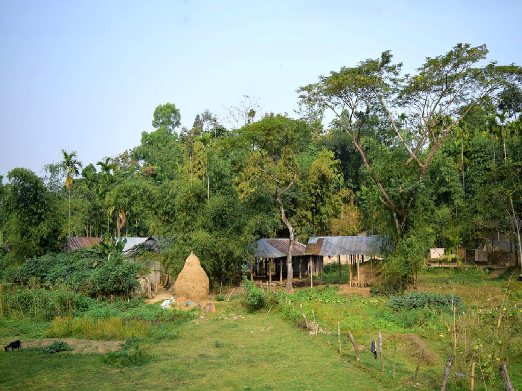 বাড়িতে অবৈধ রমরমা কারবার! খবর পেয়েই হুড়মুড়িয়ে বাড়িতে ঢুকল পুলিশ! গৃহবধূ যা করছিলেন...