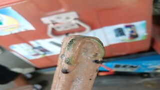 আইসক্রিমের মধ্যে সাপ! পোস্ট ভাইরাল (ছবি- ফেসবুক)