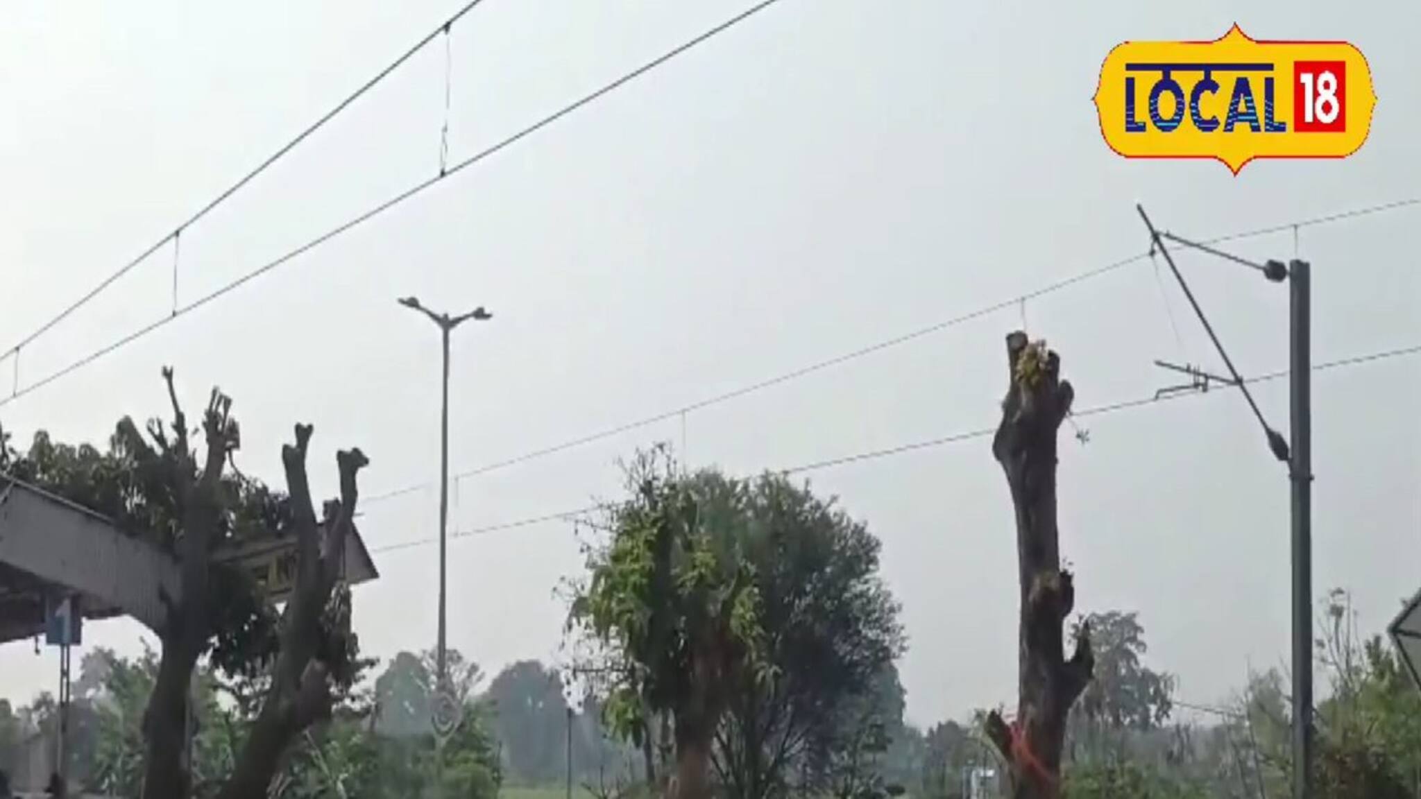 শুধু দাঁড়িয়ে কাণ্ড! বাকি সব সাফ! গাছেদের প্রতি কেন এমন পদক্ষেপ নিচ্ছে রেল