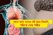 খেতে ভাল হলেও বিরাট ক্ষতি! নষ্ট করে দেয় কিডনি, বাসা বাঁধে রোগ, পচিয়ে দেয় শরীর
