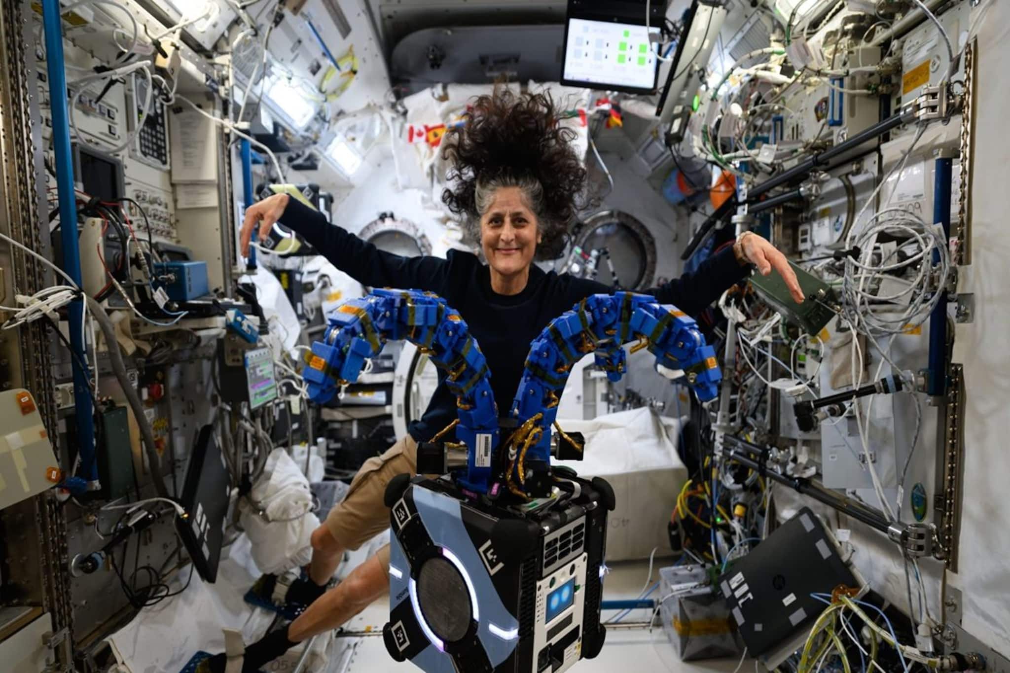 মহাকাশে গিয়ে কেন আটকে ছিলেন সুনীতা উইলিয়ামস, রাজনীতির প্যাঁচে আটকেই নির্বাসনের শাস্তি