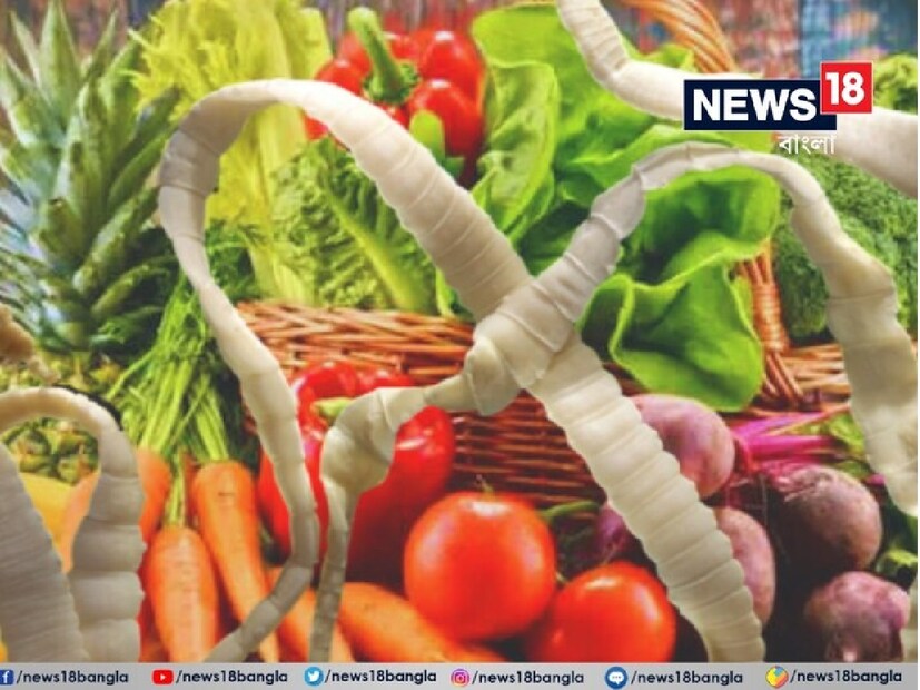 যদি আপনি সবজি খেতে ভালবাসেন, তাহলে একটু সতর্ক হন! কিছু নির্দিষ্ট সবজির মধ্যে ফিতাকৃমি বাসা বাঁধতে পারে, যা শরীরে প্রবেশ করে ভয়ঙ্কর রোগের কারণ হতে পারে। বিশেষ করে, যদি তা মস্তিষ্কে পৌঁছে যায়, তাহলে ঘটতে পারে চরম বিপদ! 