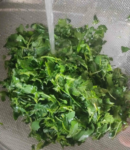 Healthyleaf.com-এ প্রকাশিত প্রতিবেদন অনুসারে, বাথুয়ার শাক খুবই পুষ্টিকর। এর প্রভাবও গরম। এটি ফাইবার, আয়রন, পটাসিয়াম ইত্যাদি পুষ্টিগুণে সমৃদ্ধ। এটি খাওয়ার অনেক উপকারিতা আছে, কিন্তু যদি এটি অতিরিক্ত পরিমাণে খাওয়া হয়, তাহলে এটি কিছু ক্ষতিও করতে পারে।