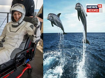 Sunita Williams Return Video: প্যারাস্যুটে ভেসে নামছে সুনীতাদের ক্যাপসিউল, আর অভ্যর্থনা জানাচ্ছে ডলফিনরা! এ যেন সিনেমার সাজানো দৃশ্য, দেখুন নাসার সেই ভিডিও