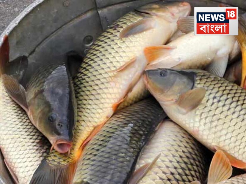 প্রথম পরীক্ষা - মাছটিকে টিপে দেখুন৷ যদি দেখেন মাছের শরীরে আঙুল দিয়ে চেপে দেওয়া অংশটা আঙুল সরিয়ে নেওয়ার পরে স্বস্থানে ফিরে এসেছে, তাহলে বুঝবেন মাছটা টাটকা৷ কিন্তু, যদি দেখেন মাছে গায়ের যে জায়গায়টায় আঙুলের চাপ দিয়েছেন, সেটা তেমনভাবেই গর্ত রয়ে গেছে, তাহলে বুঝবেন মাছটা বাসি৷