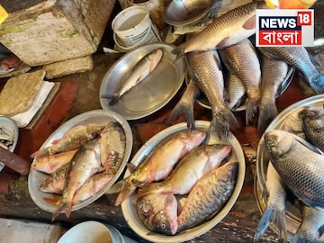 চিংড়িটা ফ্রেশ? চিনে যাবেন চটপট...শেফের দুর্দান্ত টিপস দেখে চোখ বন্ধ করে কিনুন