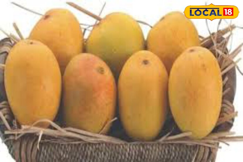 পয়লা বৈশাখ ঘিরে রাজ্যজুড়ে জমে উঠেছে পুজো-পার্বণের প্রস্তুতি। গণেশ পুজো থেকে শুরু করে বিভিন্ন ঘরোয়া পূজোর ভিড়ে বাড়ছে ফলের চাহিদা। সেই চাহিদার জায়গা থেকেই বাজারে ঢুকেছে ভিনরাজ্য তথা অন্ধ্রপ্রদেশের আম। এই মুহূর্তে কলকাতা ও আশপাশের বাজারে পাওয়া যাচ্ছে দুটি বিশেষ জাতের আম—বেগুনফুলি ও পারকুমেন্ট।