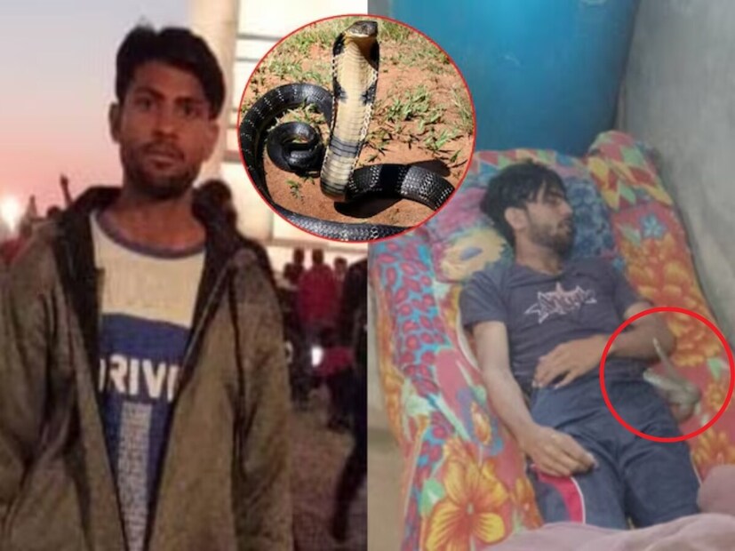 *মেরঠের বাহসুমা থানা এলাকার আকবরপুর সাদাত গ্রামে সাপের কামড়ে মৃত্যু হল অমিত ওরফে মিকির। বছর পঁচিশের অমিতকে দু'বার নয়, ১০ বার সাপে কামড়েছে। তার শরীরের ১০ স্থানে সাপের কামড়ের চিহ্ন পাওয়া গিয়েছে। শুধু তাই নয়, সারারাত অমিতকে কামড়ানোর পরও সাপটি তার কাছ থেকে দূরে সরে যায়নি, বরং লাশের নিচে বসেছিল। সংগৃহীত ছবি। 