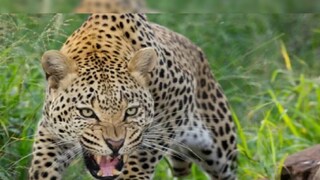 প্রতীকী ছবি