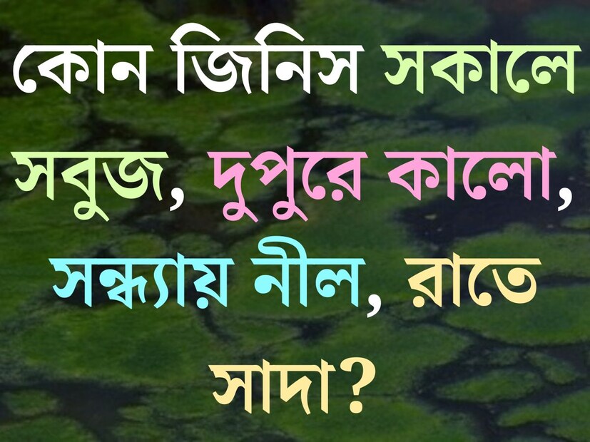 চাকরির পরীক্ষা বা অন&#x200d;্য যেকোনও ধরণের কম্পিটিটিভ পরীক্ষাতে ভাল ফল করার জন&#x200d;্য জেনারেল নলেজ বা সাধারণ জ্ঞান সম্পর্কে সম&#x200d;্যক ধারণা থাকা অত&#x200d;্যন্ত জরুরি। 