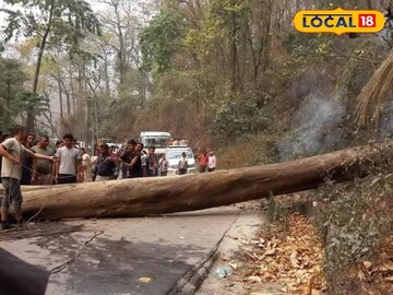 আনন্দ-ফূর্তি সব হয়ে গেল ফিকে, চার মহিলা সহ ট্যুরিস্ট গাড়িতে ভেঙে পড়ল বিশাল গাছ