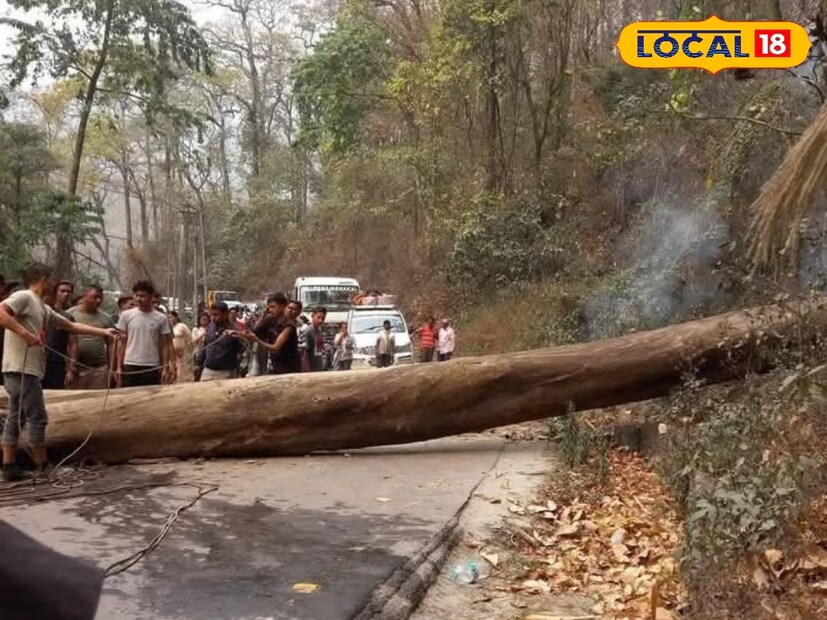 জলপাইগুড়ি: জাতীয় সড়কে পর্যটক বোঝাই গাড়ির উপর ভেঙে পড়ল আস্ত একটি গাছ। ঘটনায় গুরুতর জখম একাধিক পর্যটক। ঘটনায় ব্যাপক চাঞ্চল্য ছড়িয়েছে পর্যটক মহলে। পুলিশ সূত্রে জানা গেছে, মঙ্গলবার ঘটনাটি ঘটেছে বাংলা সিকিম সীমান্তের চিত্রে'তে। এদিন সকালে সিকিমের পেলিং থেকে ফিরছিল পর্যটক বোঝাই একটি চারচাকা গাড়ি। গাড়িটিতে আটজন কলকাতার পর্যটক ছিলেন। যার মধ্যে চারজন মহিলা পর্যটক ছিলেন। গাড়িটি পর্যটকদের নিয়ে শিলিগুড়ি ফিরছিল।
