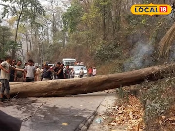 আনন্দ-ফূর্তি সব হয়ে গেল ফিকে, চার মহিলা সহ ট্যুরিস্ট গাড়িতে ভেঙে পড়ল বিশাল গাছ আনন্দ-ফূর্তি সব হয়ে গেল ফিকে, চার মহিলা সহ ট্যুরিস্ট গাড়িতে ভেঙে পড়ল বিশাল গাছ