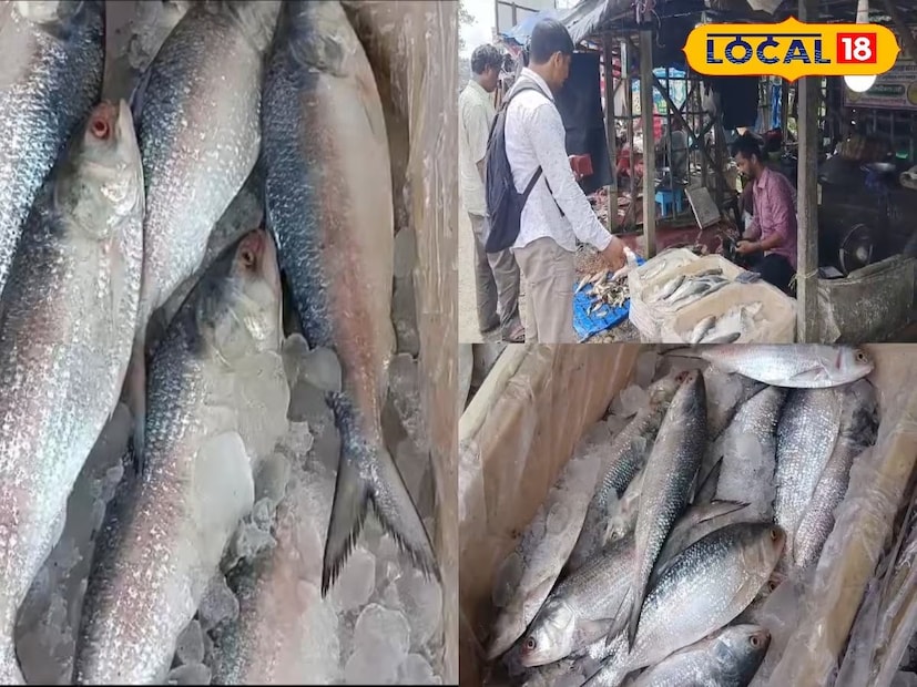 এই বছর পয়লা বৈশাখের আগেই ‘ব্যান পিরিয়ড’ শুরু হয়েছে। ফলে ইলিশের এই সমস্যা দেখা দিয়েছে। তবে ইলিশ সমুদ্র থেকে না আসলেও কোল্ড স্টোরেজ থেকে এসেছে বাজারে। দামের পার্থক্যও নেই।
