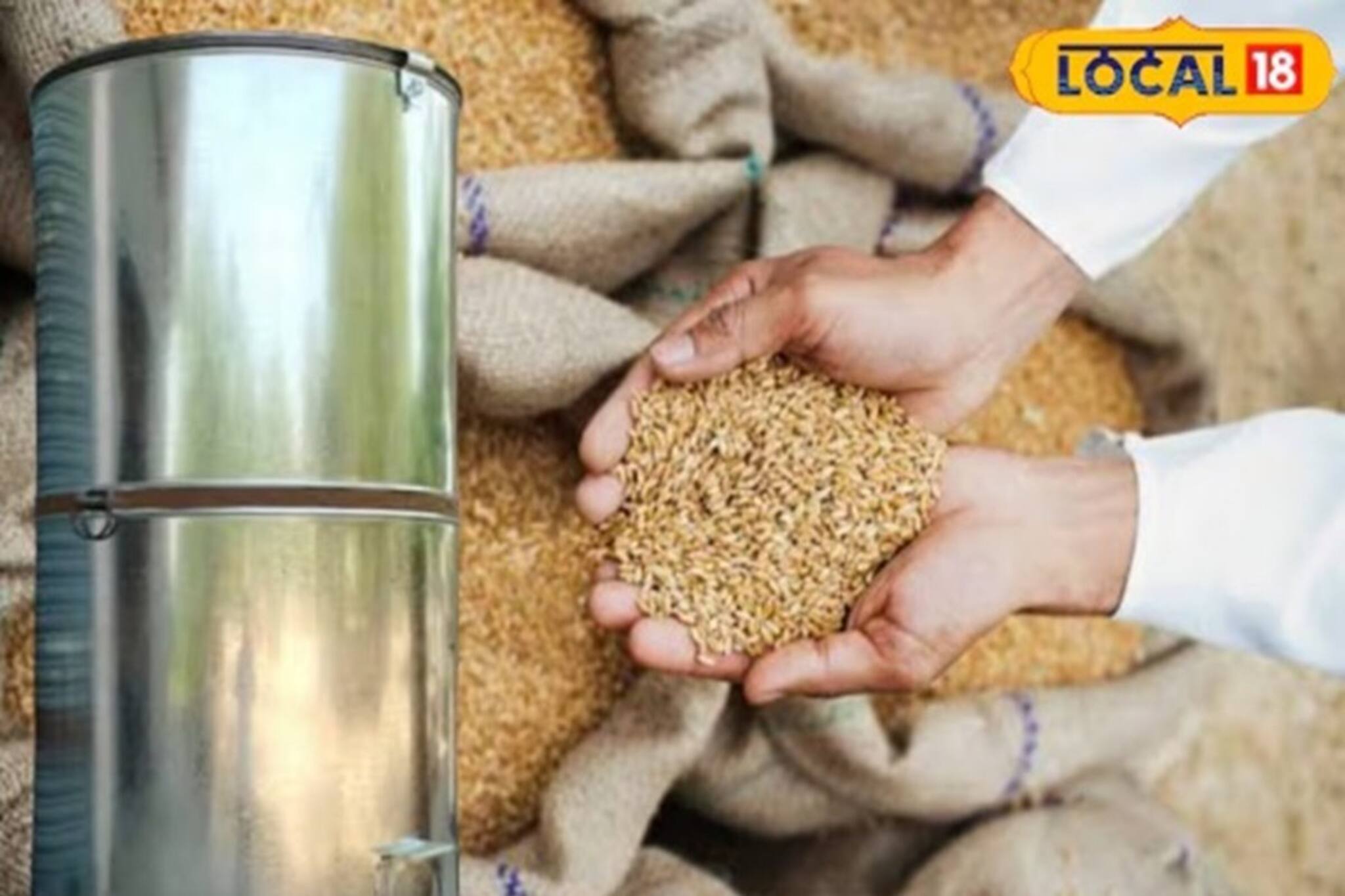 মাসের পর মাস ডাব্বায় থাকা চাল-আটায় একটাও পোকা হবে না, এই ক’টা সস্তার জিনিসেই হবে বাজিমাত