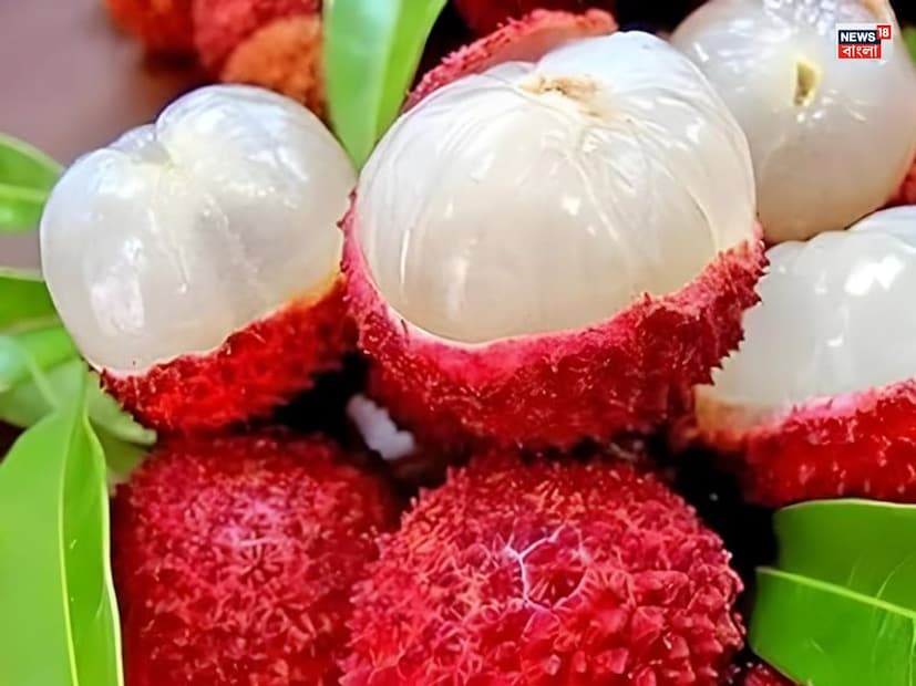 লিচুলিচুতে প্রাকৃতিক চিনি থাকে, তবে-এর সঙ্গে সঙ্গে এতে অ্যান্টিঅক্সিডেন্ট এবং ফাইবারও থাকে, যা চিনি নিয়ন্ত্রণ করে। লিচু খেলে শরীরে শক্তির মাত্রা বজায় থাকে এবং রক্তে শর্করার ভারসাম্য বজায় রাখতে সাহায্য করে। কিন্তু এটি সীমিত পরিমাণেও খাওয়া উচিত।