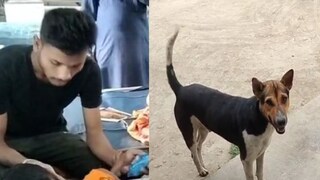 মানুষ দেখলেই ঝাঁপিয়ে পড়ছে! শিশু-মহিলা-সহ গুরুতর জখম ৫, কার আতঙ্কে ঘুম উড়েছে এলাকাবাসীর? 