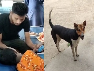 মানুষ দেখলেই ঝাঁপিয়ে পড়ছে! শিশু-মহিলা-সহ গুরুতর জখম ৫, কার আতঙ্কে ঘুম উড়েছে এলাকাবাসীর? 