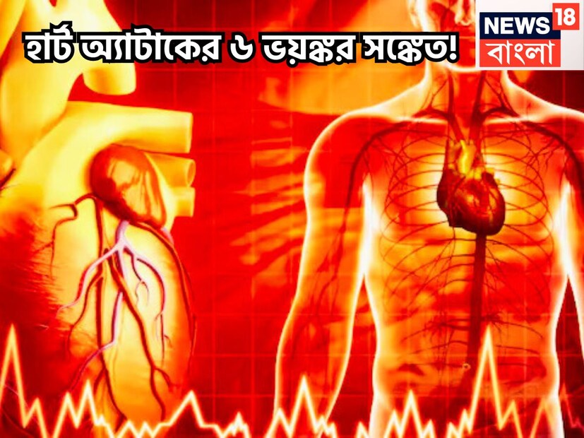 শরীরের প্রতিটি বিন্দু রক্তই সরবরাহ করে হার্ট ৷ বিরাীমহীন ভাবে শরীরের বিভিন্ন প্রান্তে রক্ত ছড়িয়ে যায় হার্ট বা হৃদপিন্ডের মাধ্যমে ৷ শরীরের বিভিন্ন প্রান্তে রক্ত ছড়িয়ে দেয় ৷ প্রতীকী ছবি ৷