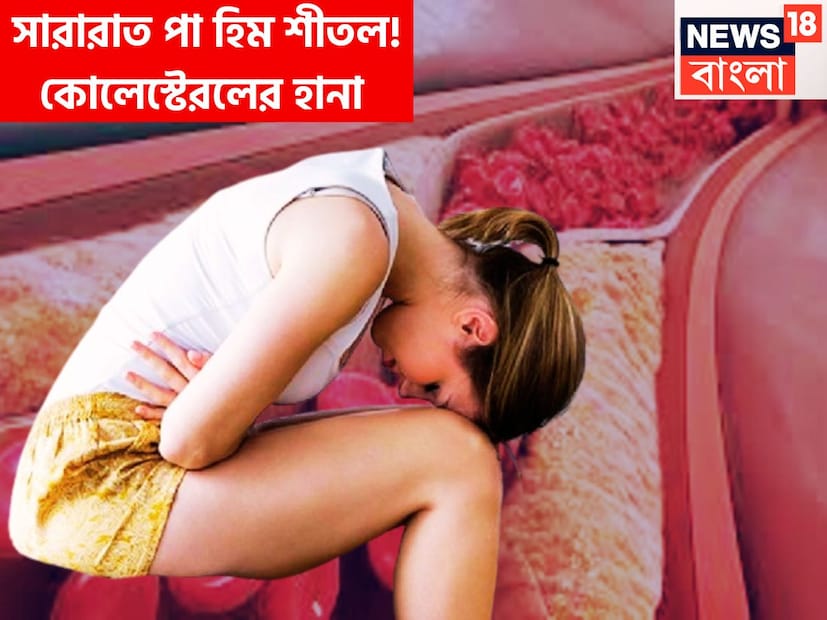 সর্বদাই শরীরের দিকে একটু বেশিই নজর দিতে হয় ৷ এরফলেই বেশ কয়েকট ক্ষেত্রে কোলেস্টেরলের স্তর বৃদ্ধি হয়ে থাকে ৷ আবহাওয়ার পরি বর্তনের সঙ্গে সঙ্গে সঙ্কেতও বুঝে নিতে হবে ৷ প্রতীকী ছবি ৷