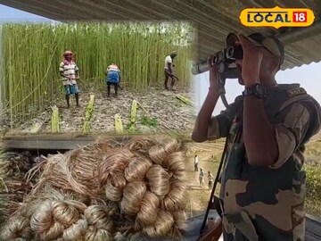 সোনালি তন্তু নিয়েও এবার ঘোর চাপ,BSFর নতুন নিয়মে মাথায় হাত চাষিদের, আর্থিক ক্ষতি হবে সোনালি তন্তু নিয়েও এবার ঘোর চাপ,BSFর নতুন নিয়মে মাথায় হাত চাষিদের, আর্থিক ক্ষতি হবে