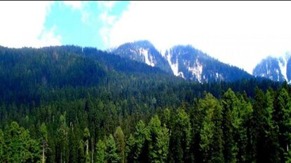 বৈসরনের এই জায়গাতেই হয় জঙ্গি হামলা৷ বৈসরনের এই জায়গাতেই হয় জঙ্গি হামলা৷