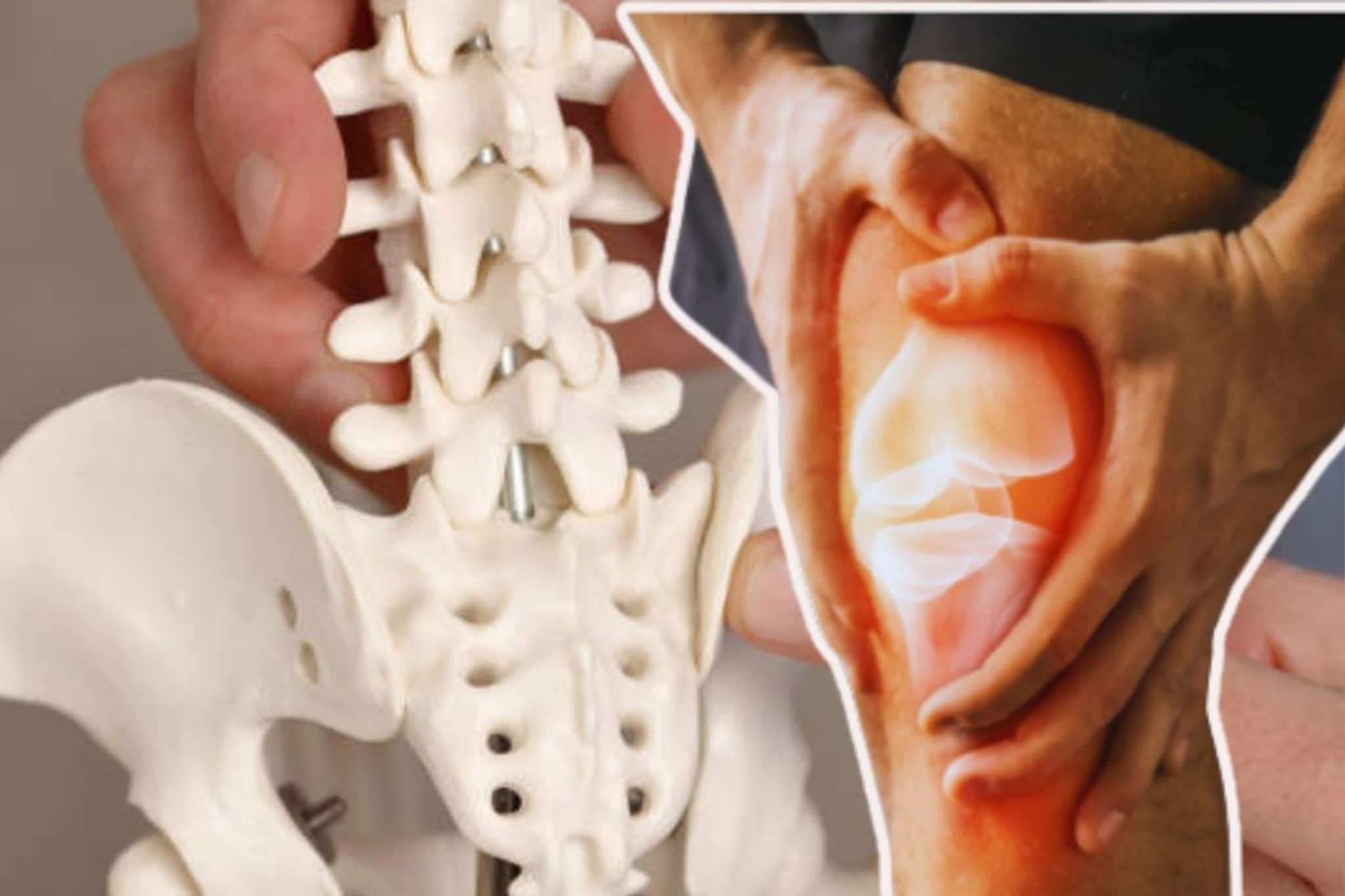 ৪০ পেরলেও হাড় থাকবে ইস্পাত কঠিন!ক্ষয় রুখতে কী করবেন?কী পাতে রাখলে মিলবে উপকার? সুপার টিপস