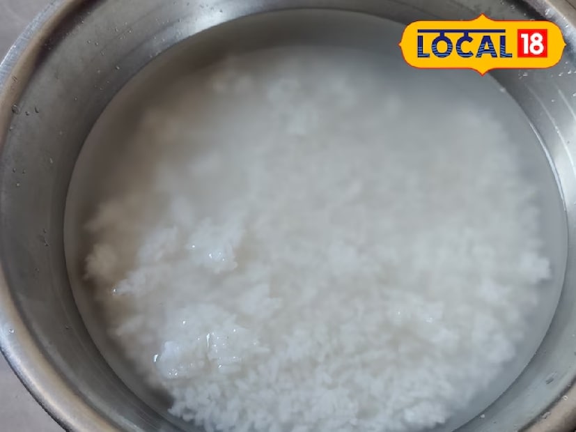 *ছত্তিশগড়ের বোরে বাসি শুধু পেট ভরানোর মাধ্যম নয়, সংস্কৃতির একটি গুরুত্বপূর্ণ অংশও বটে। এটি রাতে বেঁচে যাওয়া ভাত জলে ভিজিয়ে রেখে প্রস্তুত করা হয়। এই ঠান্ডা ও হালকা খাবার গরমে শরীরকে শীতলতা জোগায়। পাশাপাশি পেঁয়াজ, আচার, চাটনি, দই এবং ভাজার সঙ্গত এটিকে আরও সুস্বাদু করে তোলে। সংগৃহীত ছবি। 