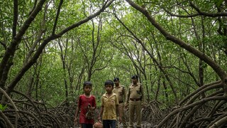 প্রতীকী ছবি (সৌজন্যে এআই) প্রতীকী ছবি (সৌজন্যে এআই)