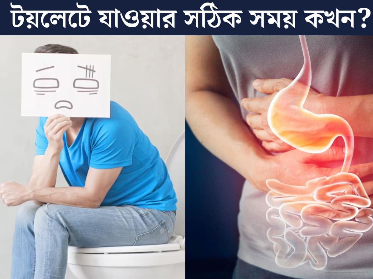 Katta dumba qora ayollar video