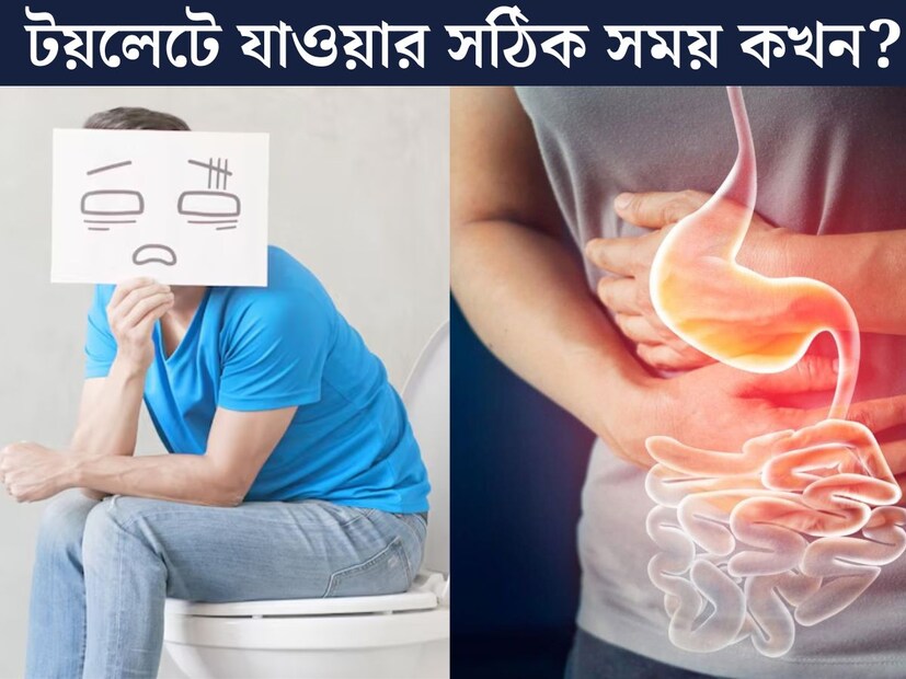 সকালের শুরুতেই কেউ কেউ দৌড় লাগান টয়লেটে। কারও আবার সকালের শুরু হওয়ার বেশ খানিক্ষণ পর মলত‍্যাগের উদ্রেক হয়। কিন্তু সকালে ওঠার পর সঙ্গে সঙ্গে টয়লেটে যাওয়া নাকি খানিক দেরীতে যাওয়া, কোনটা বেশি ভাল শরীরের পক্ষ‍ে? 