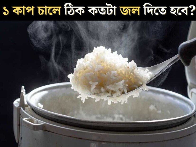 ভাত ছাড়া দুপুরের খাওয়া দাওয়ার কথা বাঙালি ভাবতেই পারেনা। প্রায় প্রতিটি পরিবারের দিনের শুরু হয় প্রেসার কুকারে উঠতে থাকা ভাতের সিটির শব্দে। দ্রুত ভাত রান্না করতে বড় ভরসা প্রেসার কুকার। 