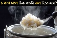 ১ কাপ ভাত রান্না করতে প্রেসার কুকারে ঠিক কতটা জল দিতে হবে? ঝরঝরে ভাতের সবচেয়ে বড় সিক্রেট
