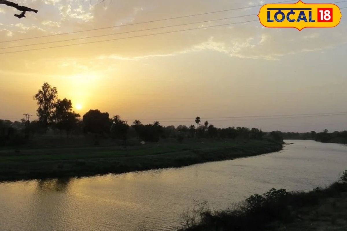 Crocodile: বেতনী নদীর চরে মৃতদেহ ঘিরে চাঞ্চল্য, কোন পশুর দেহ এটি? দেখে নিন| this animal body is found on Sandesh Khali betani river bank what animal is this