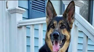 প্রতীকী ছবি৷ প্রতীকী ছবি৷