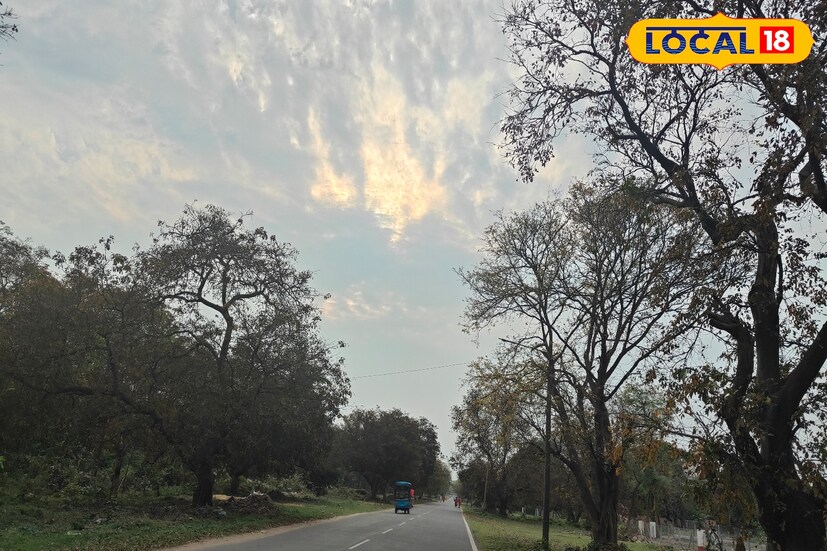এই দিন পুরুলিয়া সর্বোচ্চ তাপমাত্রার পারদ থাকতে পারে ৩৭ ডিগ্রি সেলসিয়াস ও সর্বনিম্ন তাপমাত্রার পারদ থাকতে পারে ২১ ডিগ্রি সেলসিয়াস বলে জানা গিয়েছে হাওয়া অফিস সূত্রে।