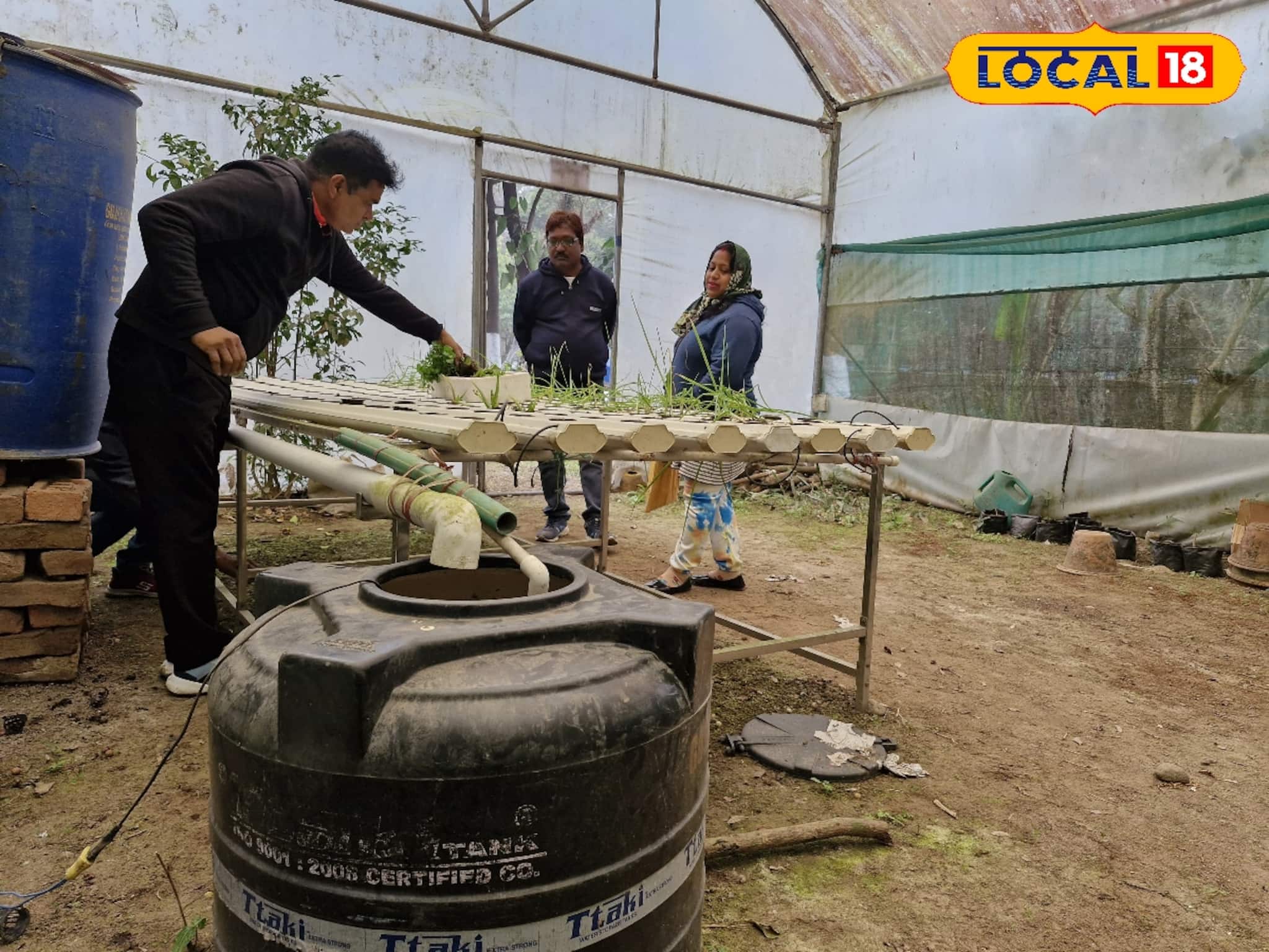 মাটি ছাড়াই বাড়িতে শাকসবজি চাষ করা সম্ভব? আপনিও ব্যবহার করতে পারেন এই টেকনোলজি
