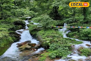 দাবাইখোলার জলে রয়েছে বিশেষ ওষধি গুণ! শরীর চাঙ্গা করতে একবার যান, ফুরফুরে মুডে ফিরবেন