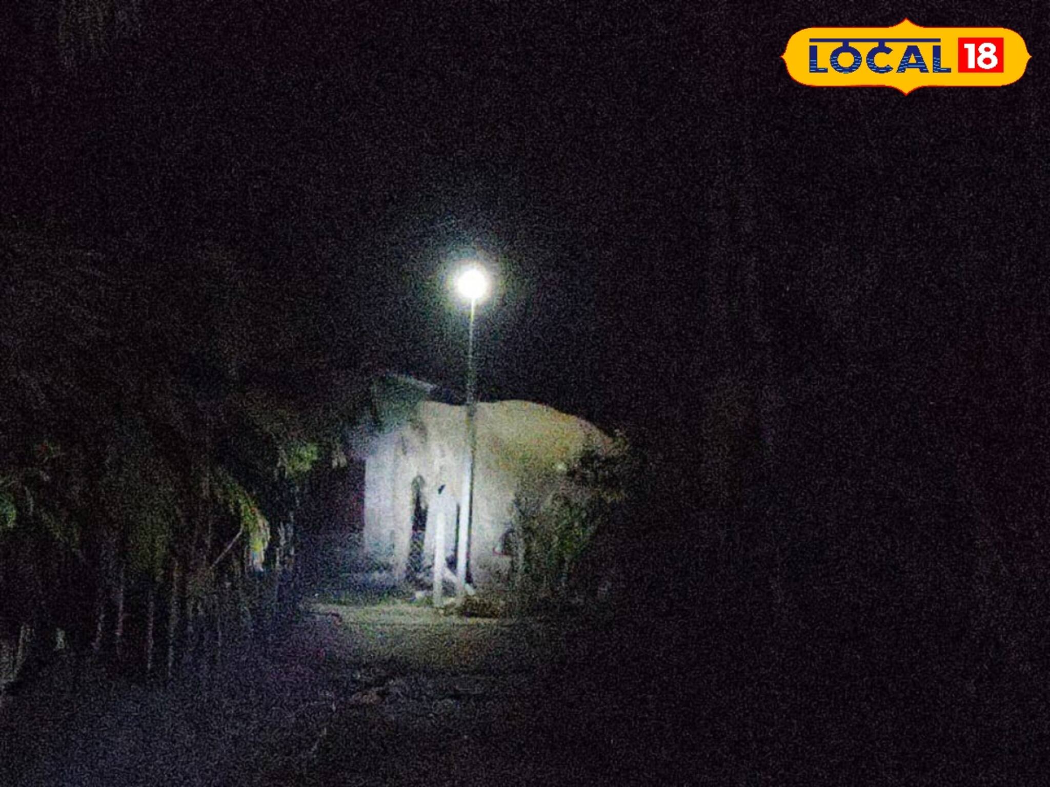 কলা খেতে জঙ্গল ছেড়ে কলাবাগানে হাতি! তারপর যা ঘটল...