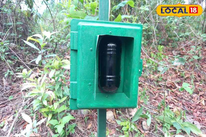 বন দফতর এবং রেলে যৌথ উদ্যোগে এবার হাতি মৃত্যুরোধে একটি আধুনিক ডিভাইস তৈরি করা হয়েছে। জলপাইগুড়ির চাপরামারি জঙ্গলে মাঝে মাঝে ট্রেনের ধাক্কায় হাতির মৃত্যু হচ্ছে। বন দফতর এবং রেলে যৌথ উদ্যোগে এবার হাতি মৃত্যুরোধে একটি আধুনিক ডিভাইস তৈরি করা হয়েছে। জলপাইগুড়ির চাপরামারি জঙ্গলে মাঝে মাঝে ট্রেনের ধাক্কায় হাতির মৃত্যু হচ্ছে।