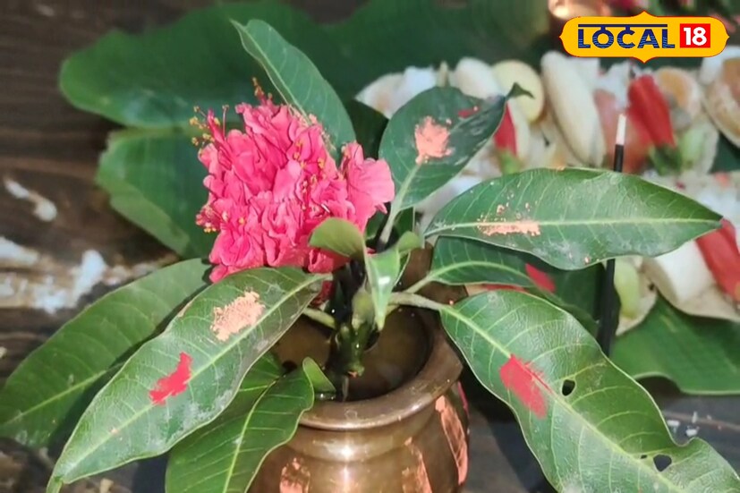 চৈত্র মাসের ছট পুজোর আগে পালিত হল খরনা পুজো। নিয়মরীতি মেনে বিহারী সম্প্রদায়ের মহিলারা ছট পুজোর দ্বিতীয় দিনে এই পুজো করলেন। কালচিনি ব্লকের বিভিন্ন এলাকায় দেখা গেল এই পুজো হতে।