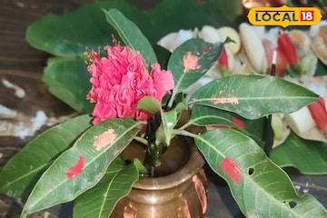 নির্জলা উপবাস, চৈত্র ছট পুজোর আগে আলিপুরদুয়ারে পালিত হল খরনা পুজো নির্জলা উপবাস, চৈত্র ছট পুজোর আগে আলিপুরদুয়ারে পালিত হল খরনা পুজো