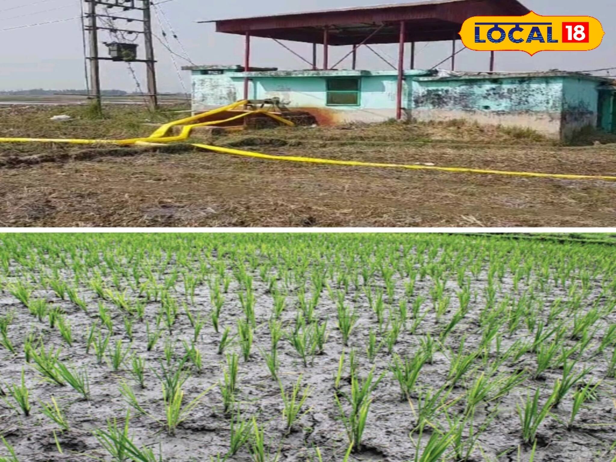 মাঠে মরছে ফসল, সেচ ব্যবস্থা থাকলেও নেই পাইপলাইন! চিন্তা বাড়ছে চাষিদের