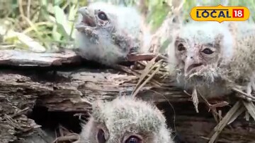 লক্ষ্মী