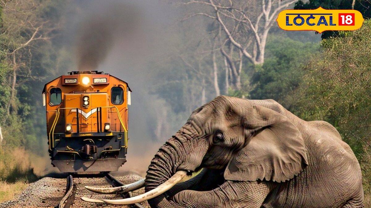 Elephant Device আর ট্রেনের ধাক্কায় মৃত্যু নয়! একটি ডিভাইস বাঁচাতে পারে বাইসন, হরিণের ...
